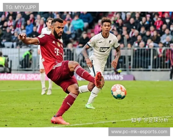 全球足球明星影响力的背后解析及其对社会文化的深远影响