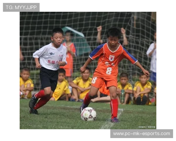 飞龙驰骋绿茵场足球天才的成长之路与辉煌瞬间